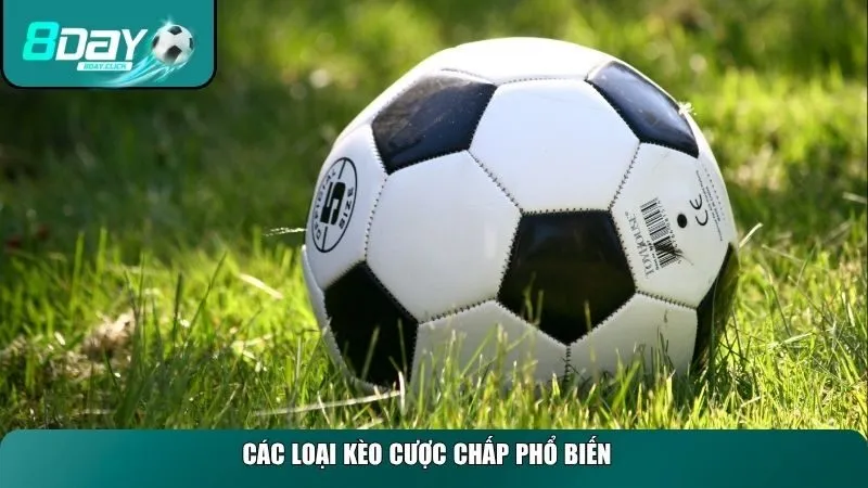 Các loại kèo cược chấp phổ biết