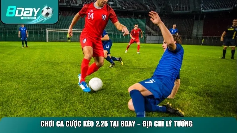 Chơi cá cược kèo 2.25 tại 8day