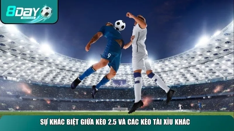 Sự khác biệt giữa kèo 2.5 và các kèo tài xỉu khác