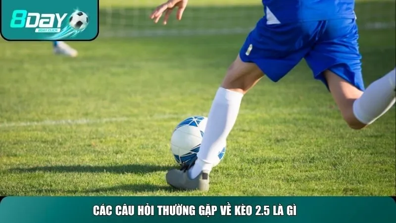 Các câu hỏi thường gặp về kèo 2.5 là gì