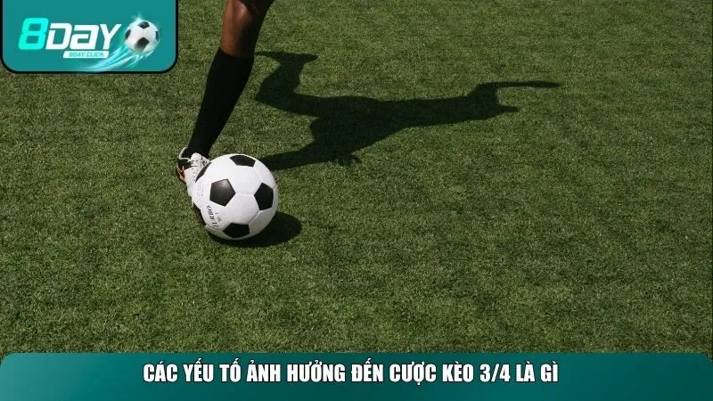 Các yếu tố ảnh hưởng đến cược kèo 3/4 là gì