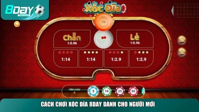 Cách chơi xóc đĩa 8DAY dành cho người mới