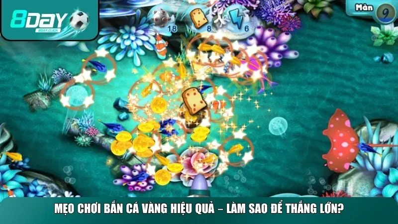 Mẹo chơi Bắn Cá Vàng hiệu quả