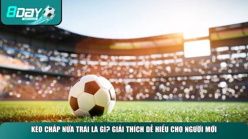 Kèo chấp nửa trái là dạng phổ biến và cũng dễ nhầm lẫn với người mới