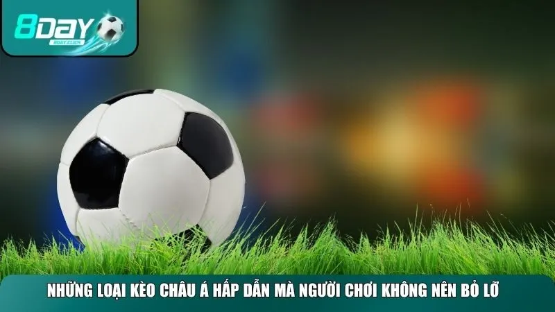 Những loại kèo Châu Á hấp dẫn mà người chơi không nên bỏ lỡ